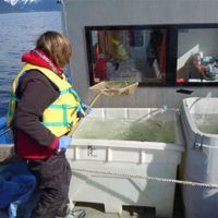 Montague Marine Research aboard the R/V Montague